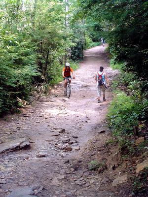 A more typical riverside, mixed use trail in DuPont State Forest