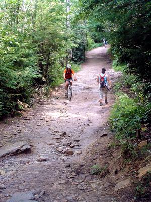 Multi-use trail at DuPont State Forest