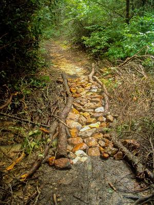 Long Branch Trail - Tread Hardening