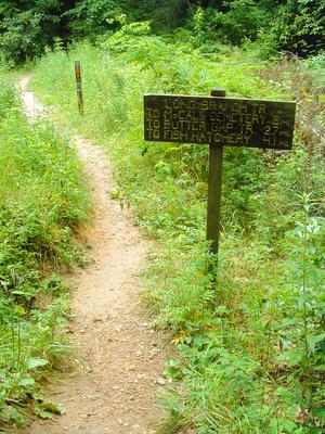 Start of the Long Branch trail, which has a variety of character: tight and twisty, smooth and fast, wet and dry, valley and ridge. It's one of my favorites when ridden back toward the fish hatchery.