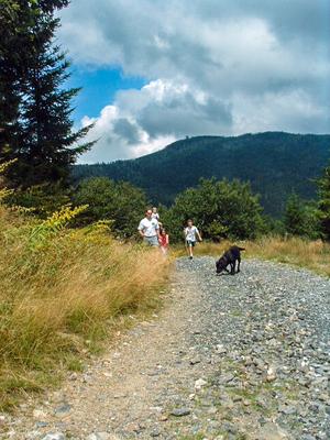 Great Family Hike