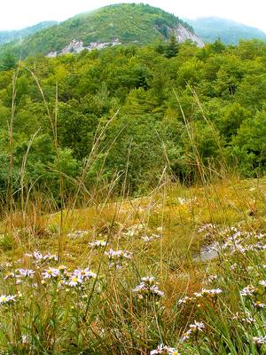 Big Green Mountain from Salt Rock