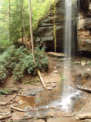 Moore Cove Falls