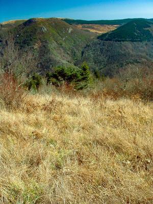 View from Green Knob