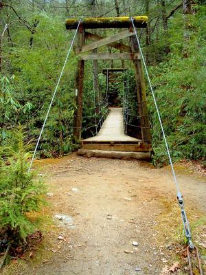 Suspension Bridge River Crossing