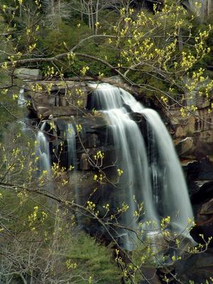 Whitewater Falls, one of Nantahala National Forest's most recognizable places, and a short hike accessible to all.