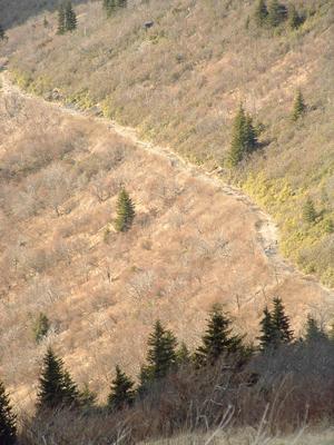 Ivestor Gap Trail