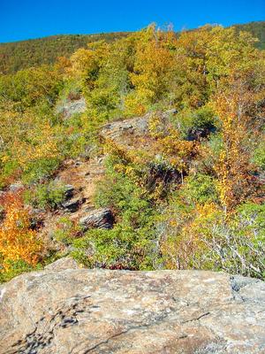 Fall Color On Pinnacle