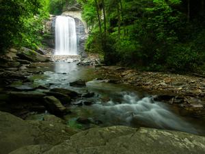 Looking Glass Falls