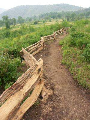 Split Rail along the New Trail