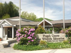 Pisgah Center for Wildlife Education