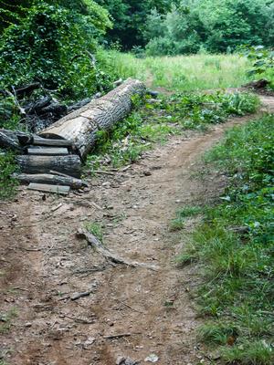 Technical Trail Feature on the Lower Sidehill Trail