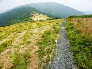 Summit of Round Bald