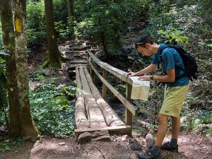 Bridge on the Cove Creek Trail