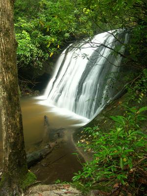 Frolictown Creek Falls