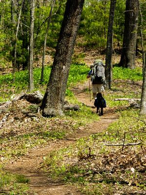 Backpacker and dog on the Appalachian Trail