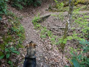 Ascending Lover's Leap Ridge