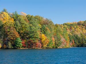 Lake Julia in Fall Color