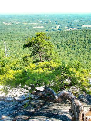 View South from Hanging Rock