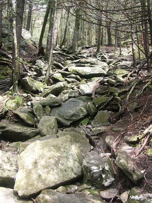 Rocky Profile Trail