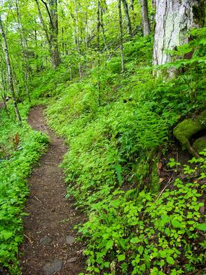 Profile Trail on Slope