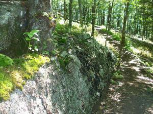 Rock Outcrop on the Bearwallow Mountain Trail