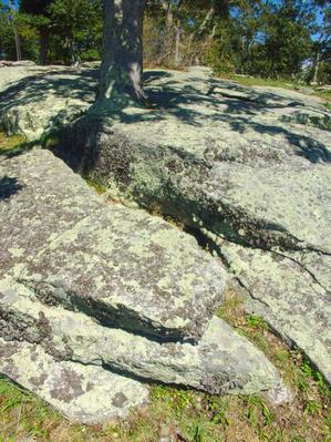 Rock Outcrop on Bearwallow Mountain