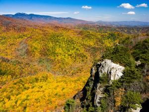 Fall view from Big Lost Cove Cliffs past Grandfather Mountain and the Wilson Creek Area.
