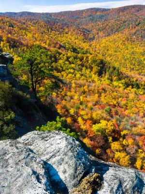 Fall Color View from Big Lost Cove Cliffs