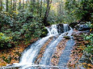 Waterfall on Thorps Creek