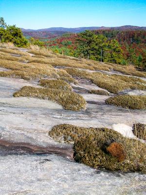 Exposed granite on Big Rock