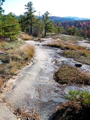 Slickrock on the the Cedar Rock trail, in fall color season.
