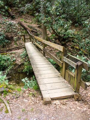 Art Loeb Trail Start