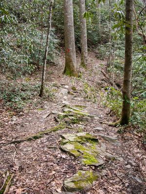 Rocky Section of North Slope Trail