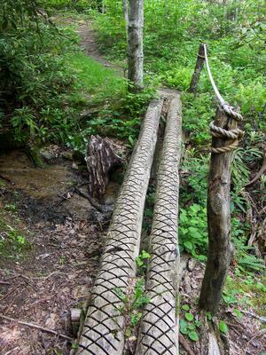 Log and Rope Bridge in Florence Preserve