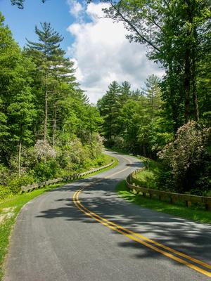 Gorges State Park Main Entrance Road