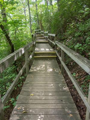 Four Seasons Trail Boardwalk