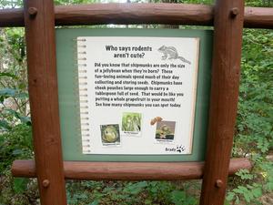 Great Woodland Adventure Trail Sign