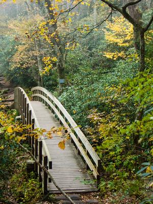 Little Wilson Creek Bridge