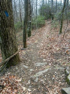 Barnett Branch Trail Top