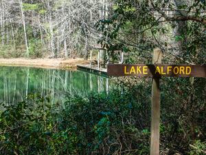 Lake Alford