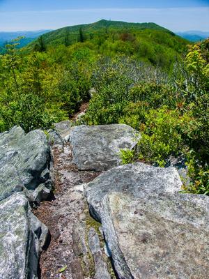 Rocks on Appalachian Trail near Camp Creek Bald