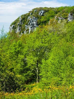 View of Blackstack Cliffs from the parking area on Little Firescald Knob