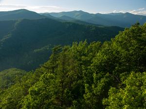 View toward Mount Mitchell, highest mountain in the Eastern U.S., from Kitsuma Peak near I-40.