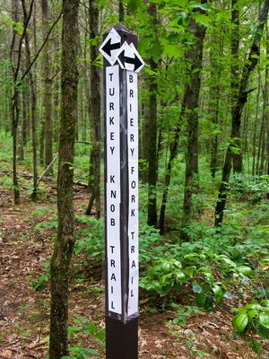 Turkey Knob and Briery Fork Trail Sign