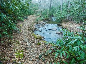 Bad Fork Trail and Stream