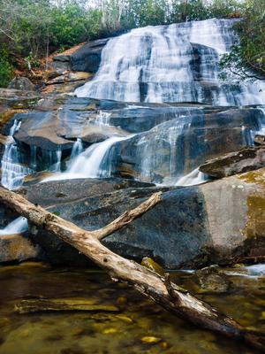 Cove Creek falls, one of many in the Pisgah Ranger District.