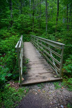 Bridge on the Crabtree Falls Trail