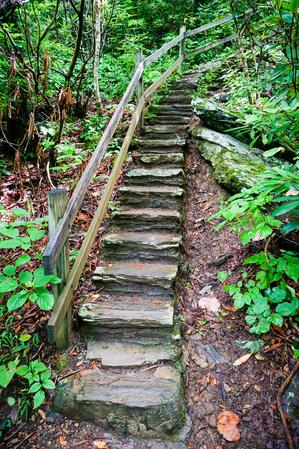 Stairs on the Crabtree Falls trail