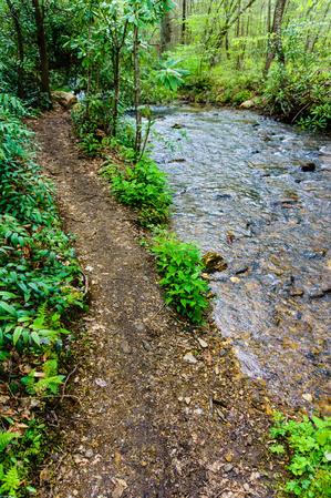 Avery Creek trail and stream.